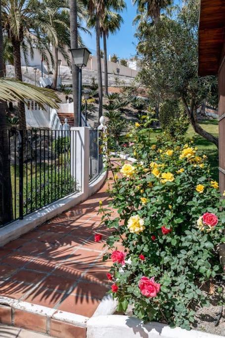 Oasis 16 Lejlighed Nerja Eksteriør billede